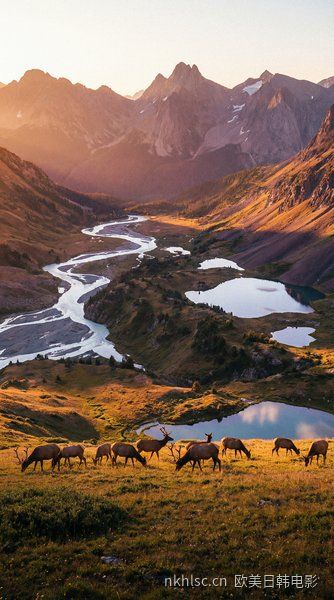 四虎成色TV - 《赛博 · 京都》3D 渲染巅峰